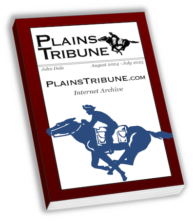 PTprintedbook-cover 3d