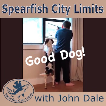 SCL show art- with a boy shooting a bb gun out the window with his puppy next to him wagging his tail